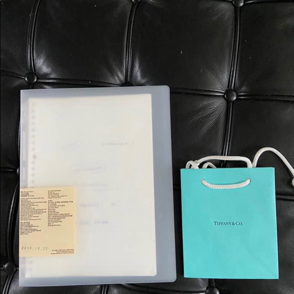 Tiffany & Co shopping bag (small)